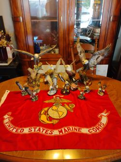 bald eagle collection