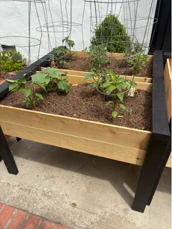 NEW Planter Boxes