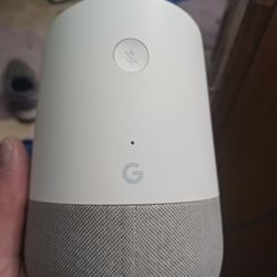 Google Smart Speaker