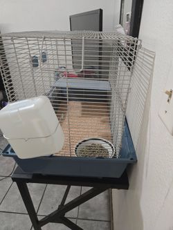 Guinea pig cage