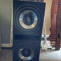 12 Subwoofers 