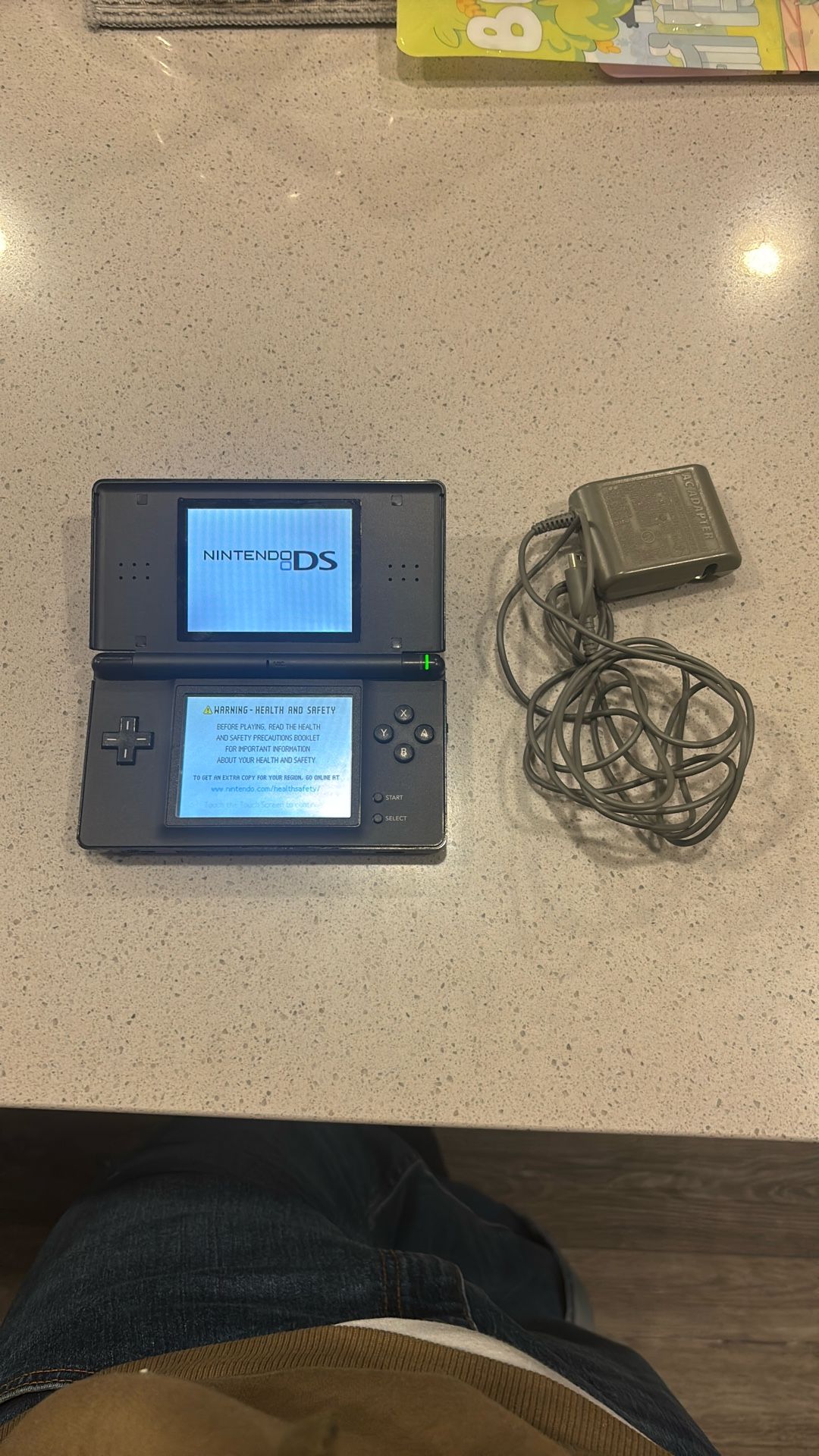 Nintendo Ds With Charger