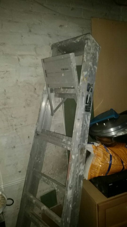 6 foot step ladder