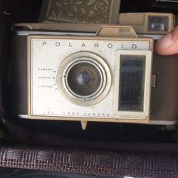 Antique cameras and tripods