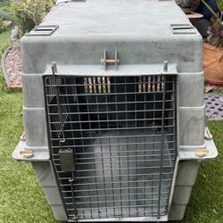 Large Dog Kennel ::  Carrier …   Clean  ::  