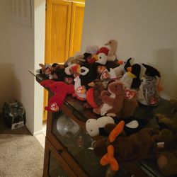  Beanie Baby Lot. Original 