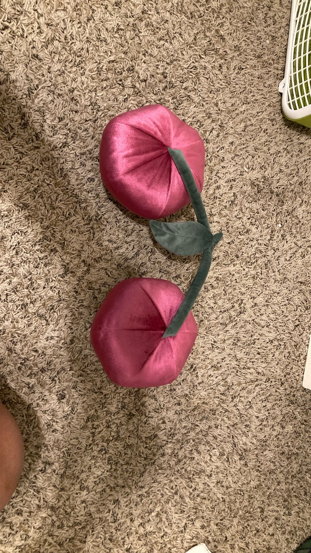 Cute Cherry Plushy