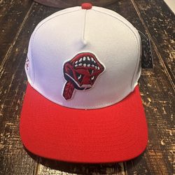 kill the hype snap back 