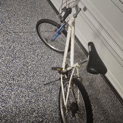 26 Inch Roadmaster Mountain Bike