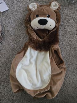 Lion costume