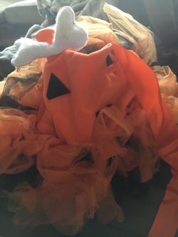 Pebbles Costume (Size: 2T)