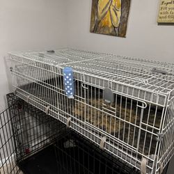 Rabbit Cage