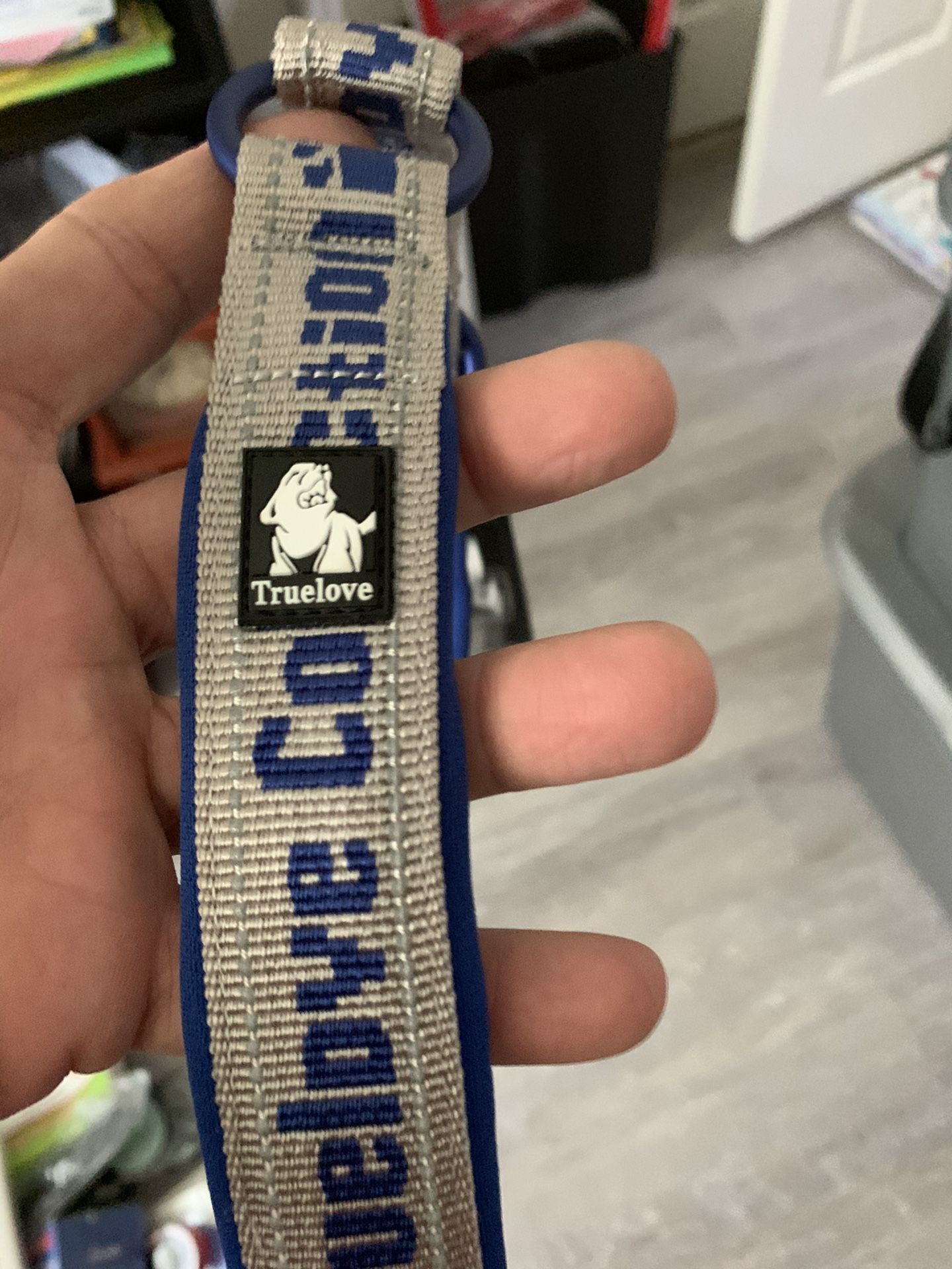 Dog Collar New