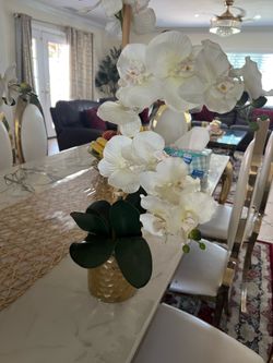 Two flowers