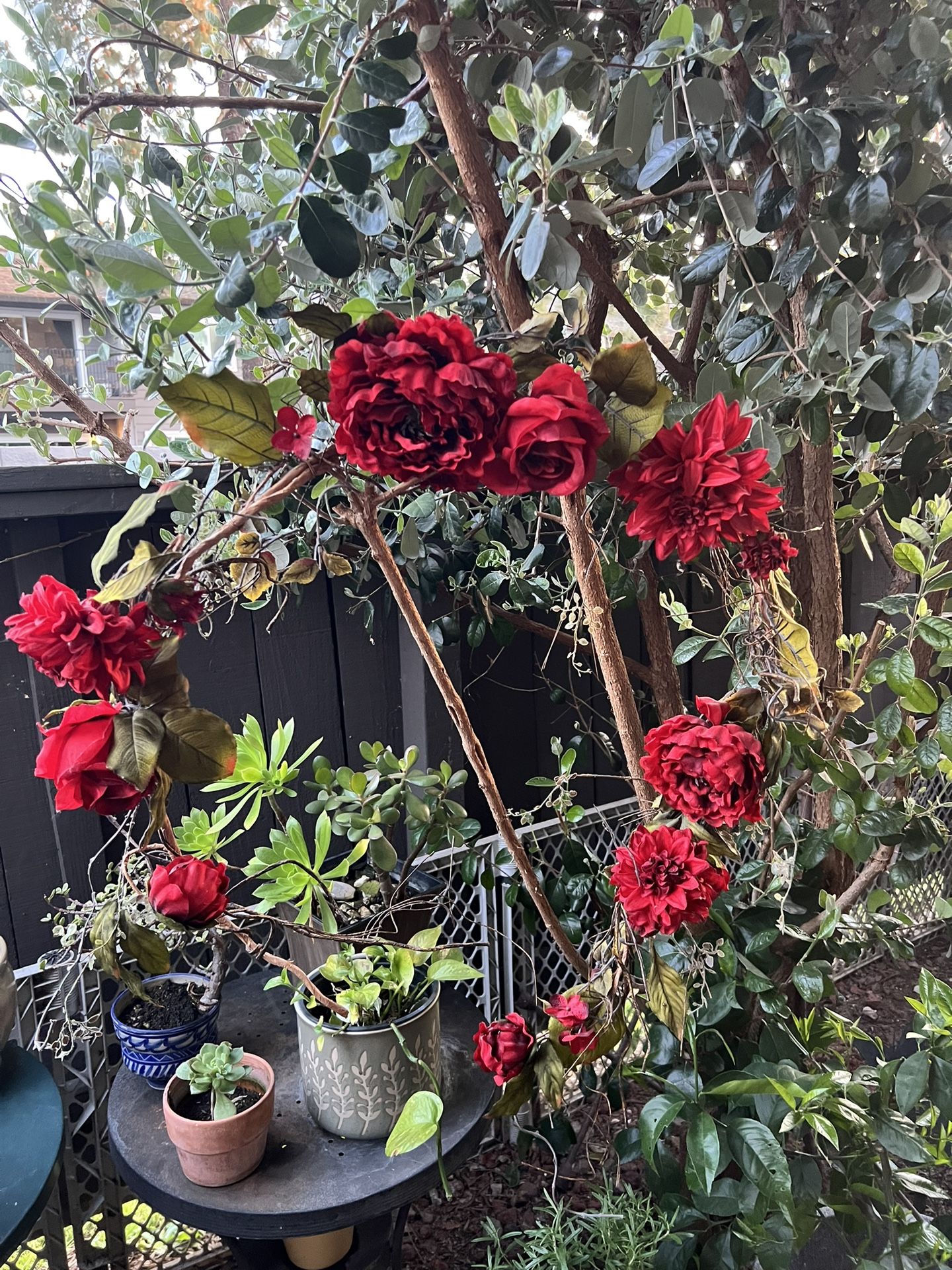 Garland ( Red Rose )