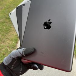 iPads 5 / 6 / 8 / Pro