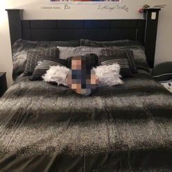 Queen Size Bed Frame With Dresser And Mirror  READ POST!!!