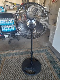 Fan