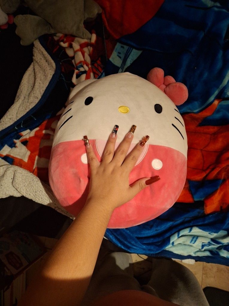 For Hello Kitty Fans