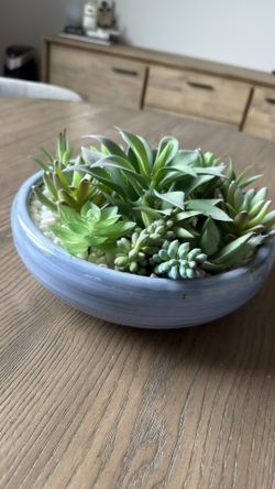 Fake Succulent Bowl