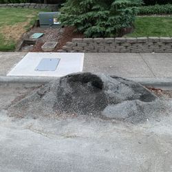 Free Half Yard Of Quarter Minus Rock And 1/4 Of A Yard Of Mason Sand