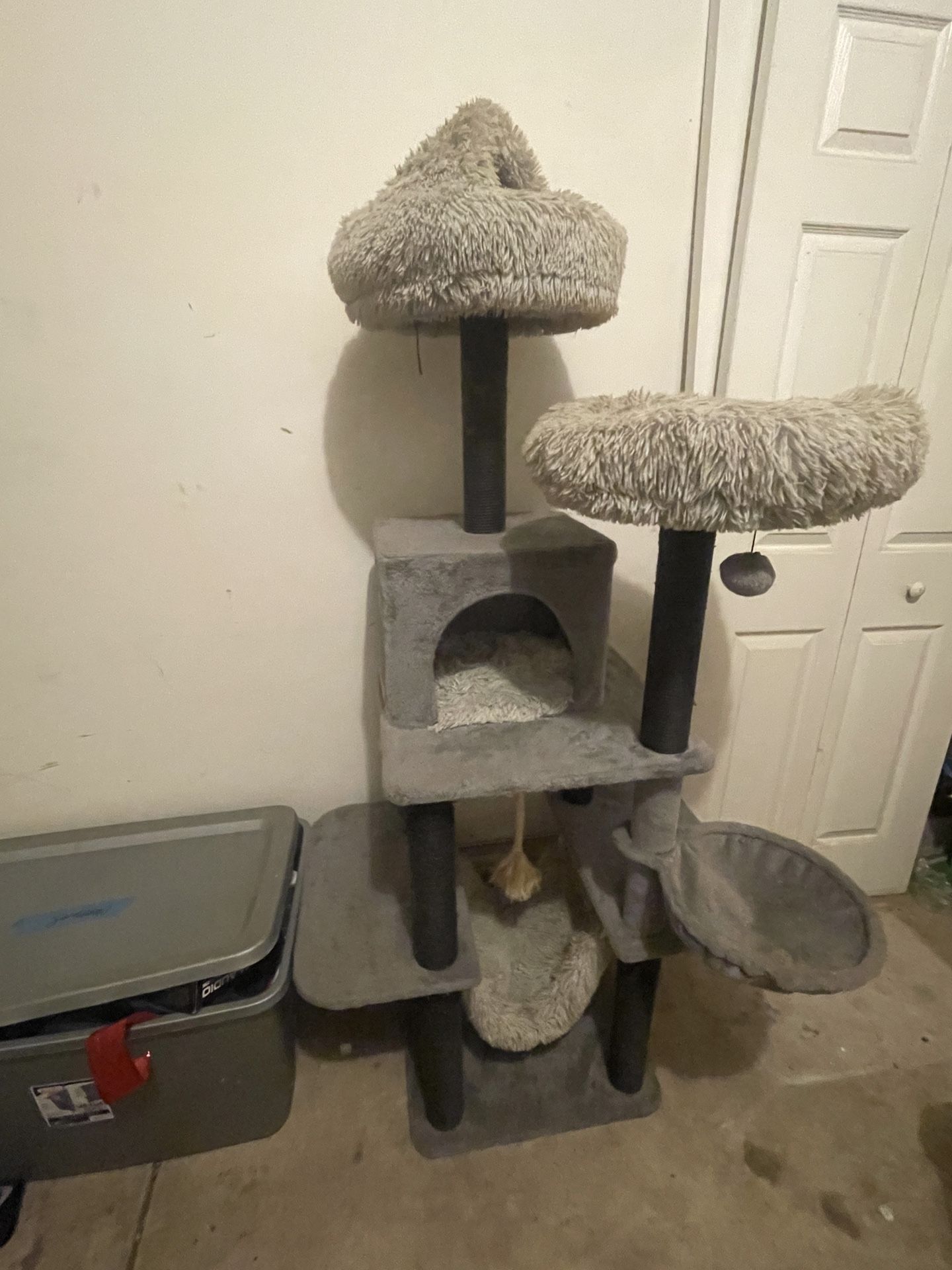 Cat tower. Almost 6ft.