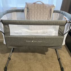 Baby Delight Bassinet and Snuggle Nest
