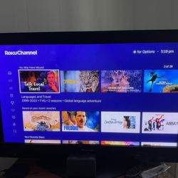 Panasonic 50” Plsma Tv