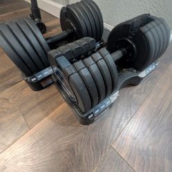 50lb Adjustable Pro-Form Dumbbell Set + Finer-Form Bench + Straight Bar