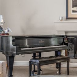 Beautiful Grand Piano 