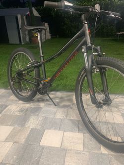 Bicicleta / Bike