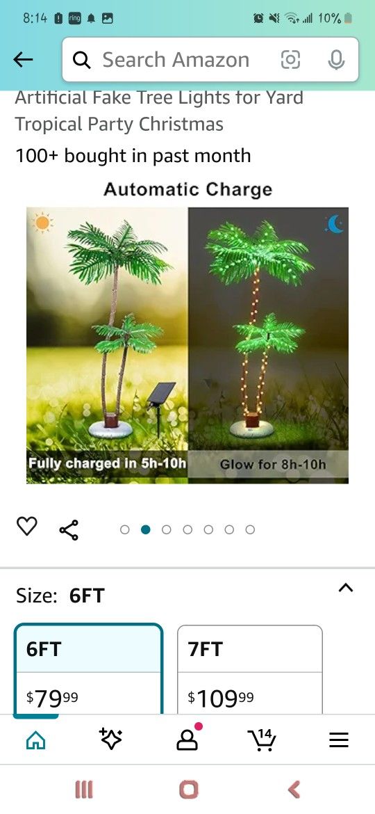 $35 Plam Tree 6ft