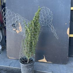 Hummingbird Topiary With Plant 