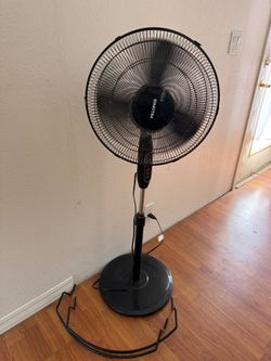 Fan