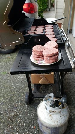 BBQ GAS GRILL