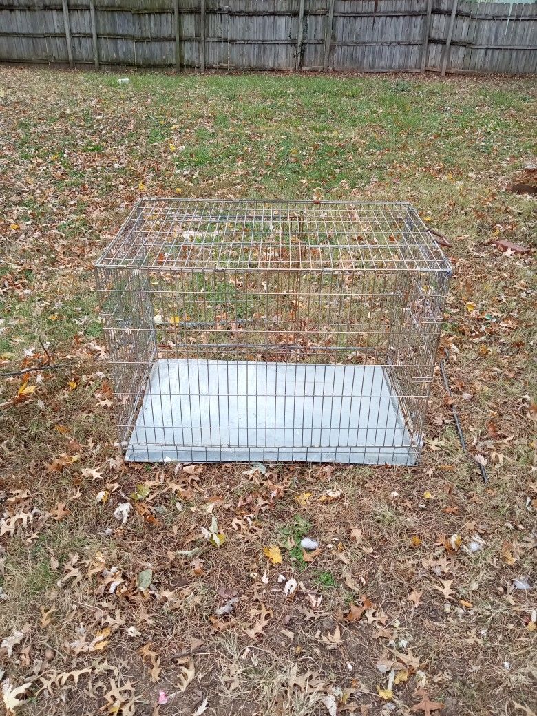 Dog Kennel