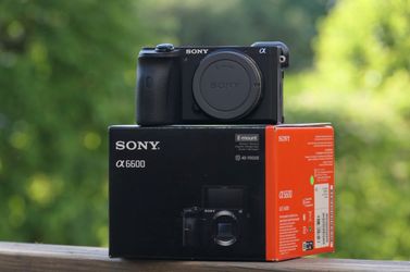 Sony Alpha a6600 Mirrorless Digital Camera Body
