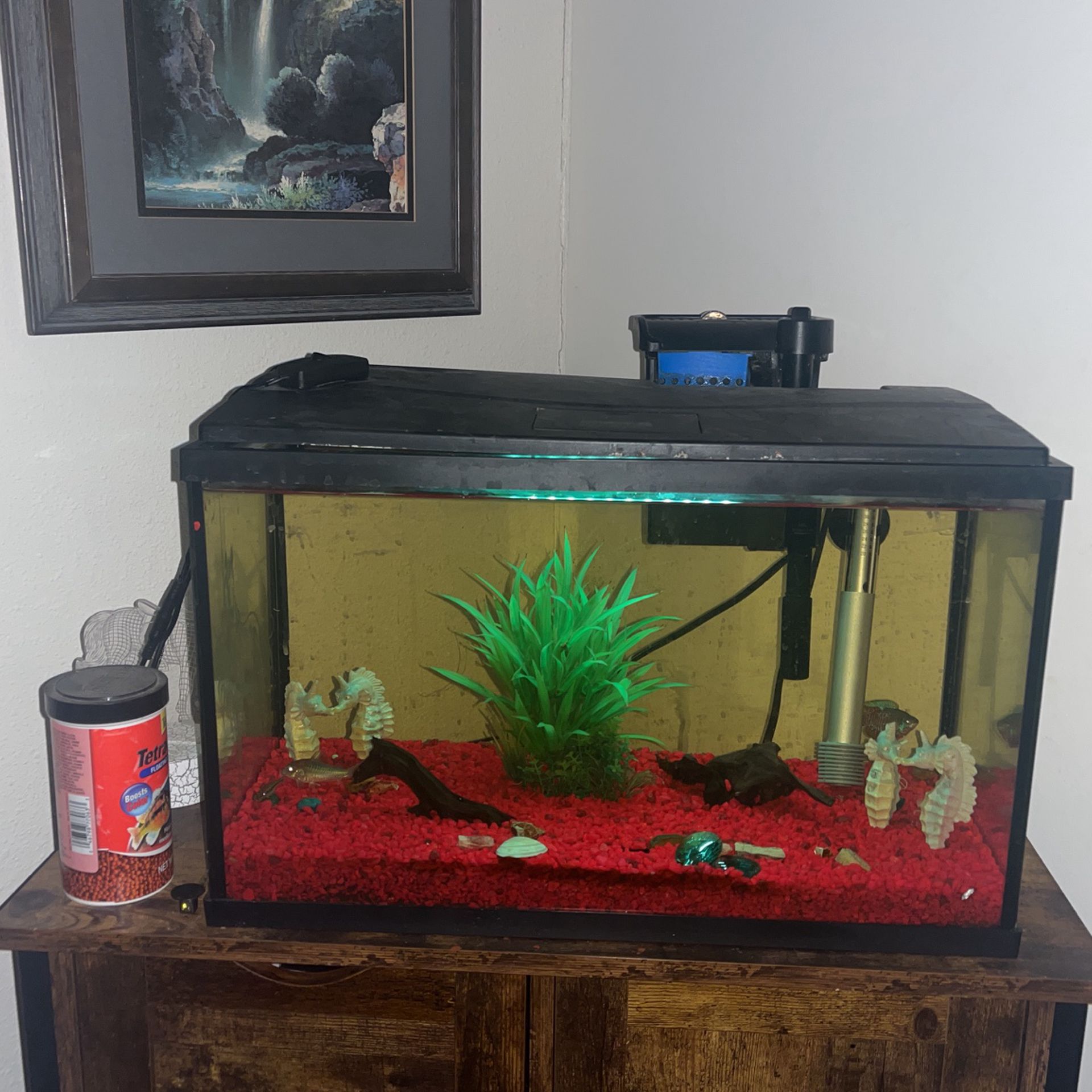 10G Fish Tank 