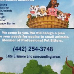 Petsitting Done Right