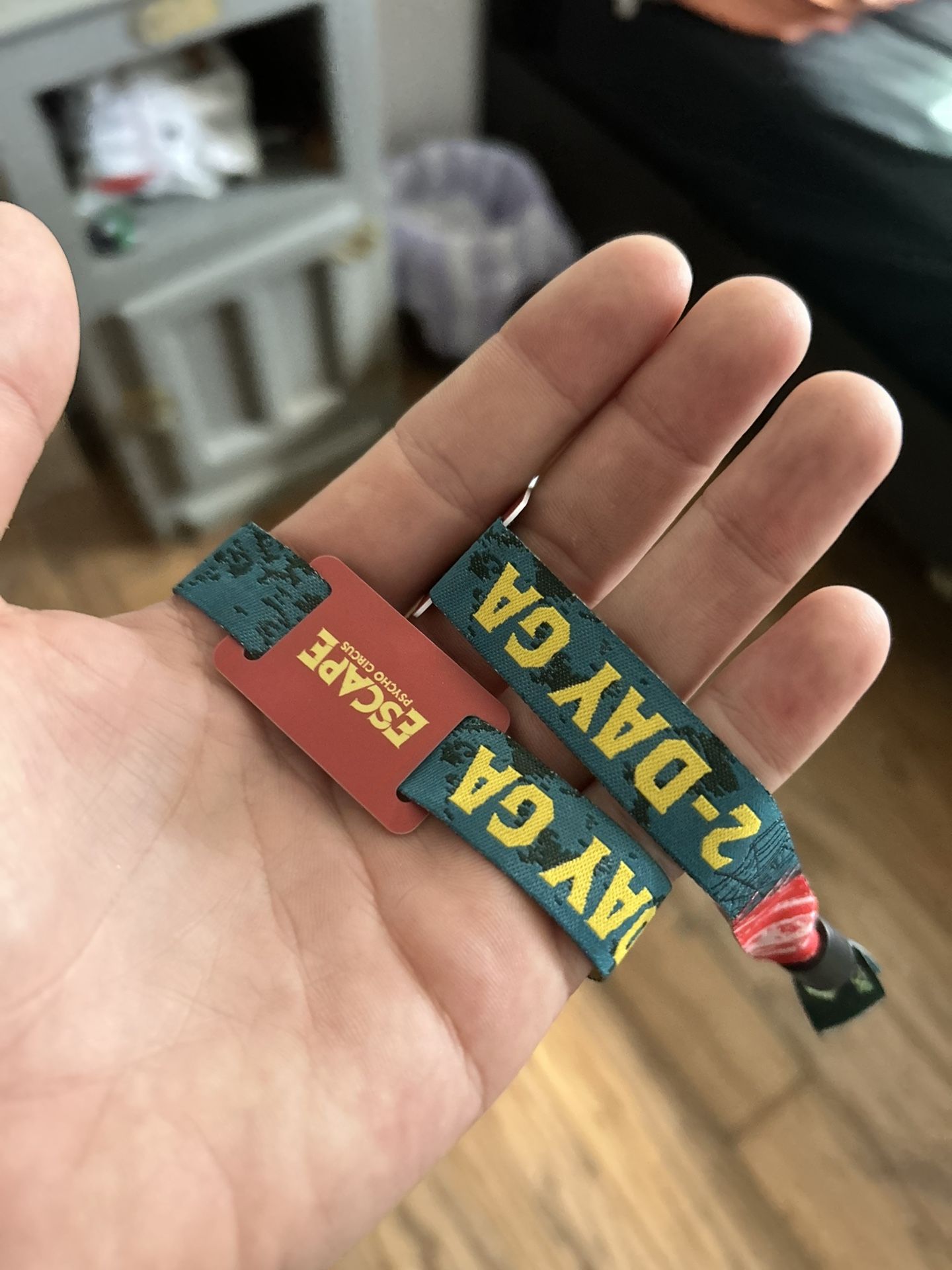 Two Day GA+ Escape Tickets 