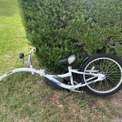 WeeRide co-pilot Bike Trailer