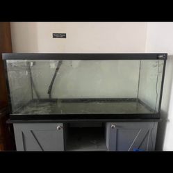 75 Gallon Aquarium And Stand, Canister Filter And Heater - Need Gone ASAP 