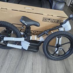 16 inch Balance Ebike