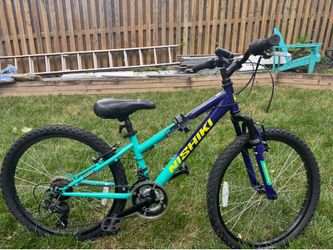 Nishiki Pueblo Girls bike 24’
