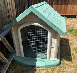Dog House