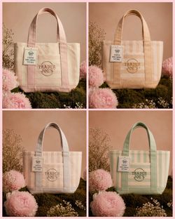 Trader Joe's Striped Canvas Mini Tote Set