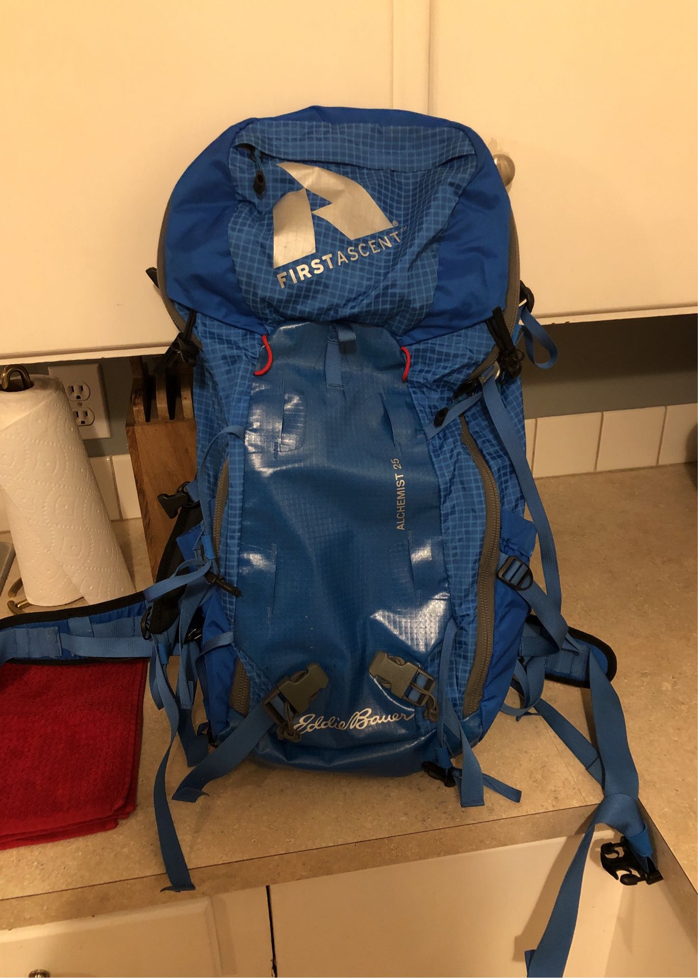 Eddiebauer First Ascent Backpack
