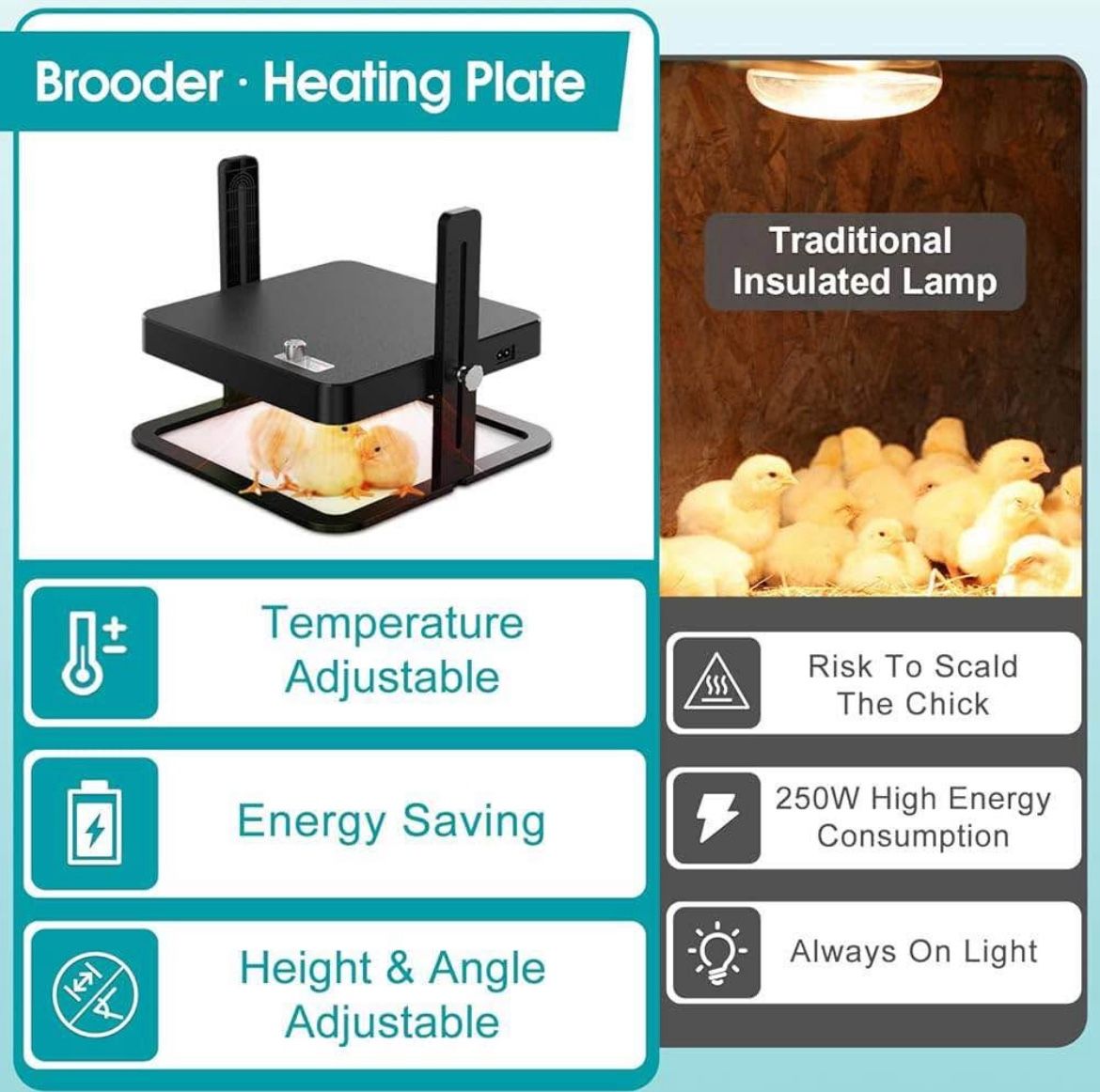 Brooder Heater for chicks and baby birds