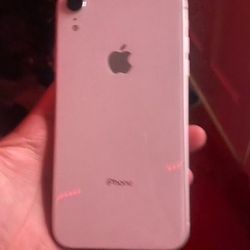 iPhone XR