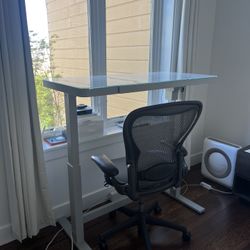 Standing Adjustable Desk 